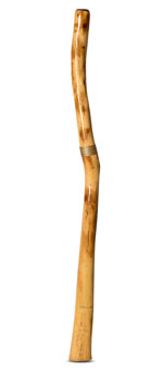 Peter Sherwood Didgeridoo (NV114)